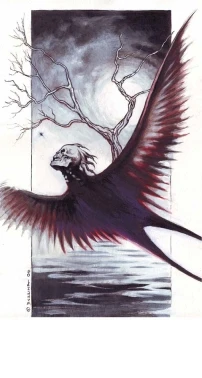 The Black Lake