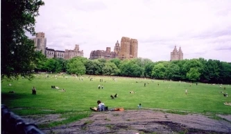 Central Park, New York: Streets of the City