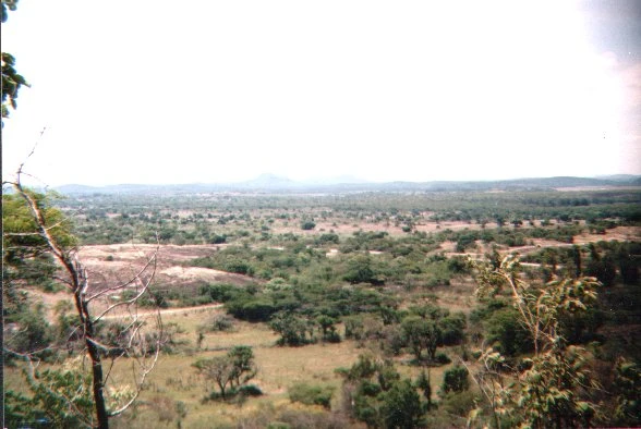 Zimbabwe: The Very Edge of New Harare(f); The Hunting Party(f)
