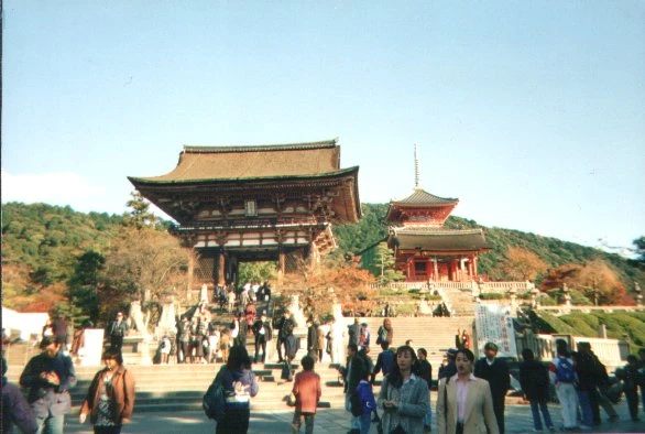 Kyoto: Postcards from Terri