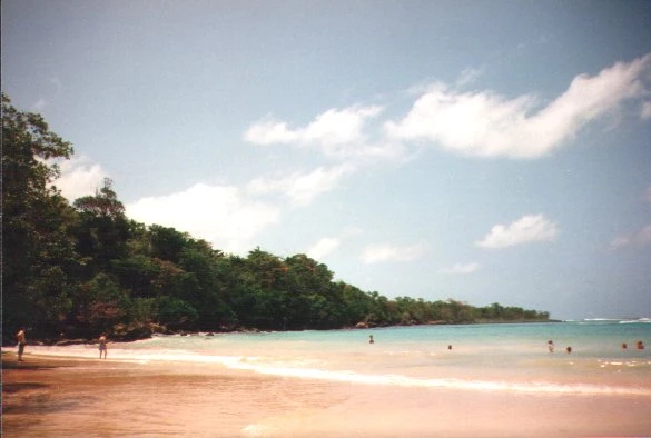 Jamaica: Night Feast; Postcards from Terri; Gone-Away Bay